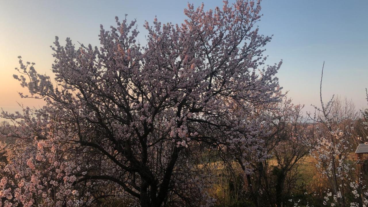 Villa Panoráma Balaton Balatongyörök Esterno foto